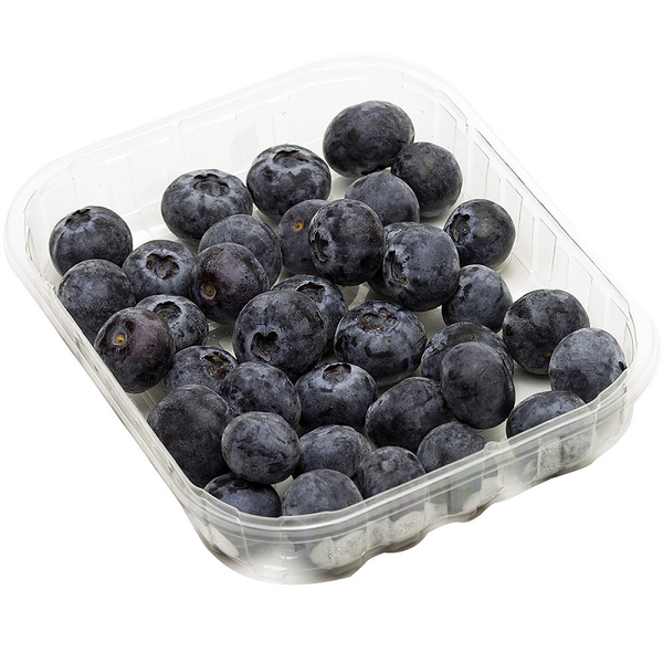 Blueberries, Blueberry