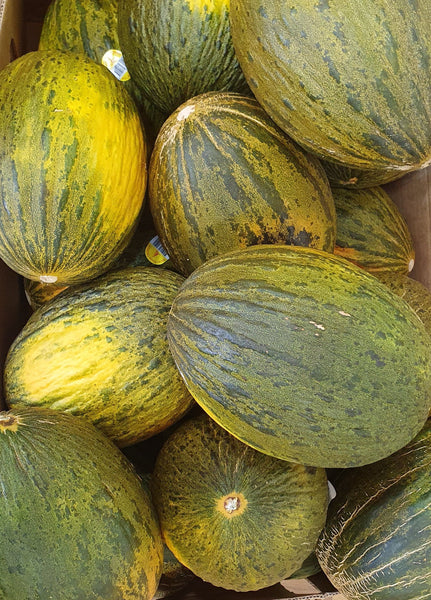 Sapo Melon (each)
