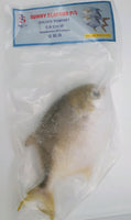 Sunny - Golden Pomfret 600-800g